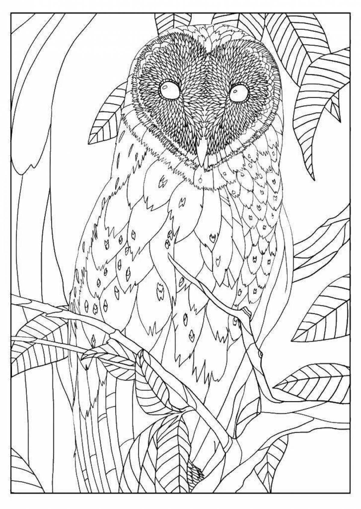 Owl art coloring by numbers