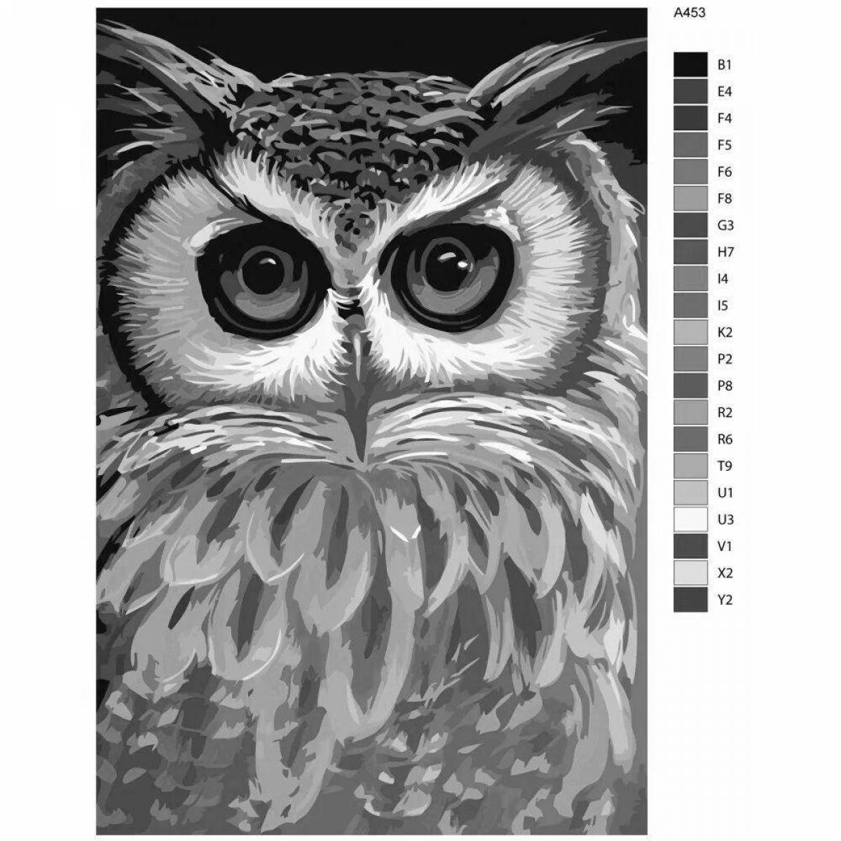 Owl by numbers #1