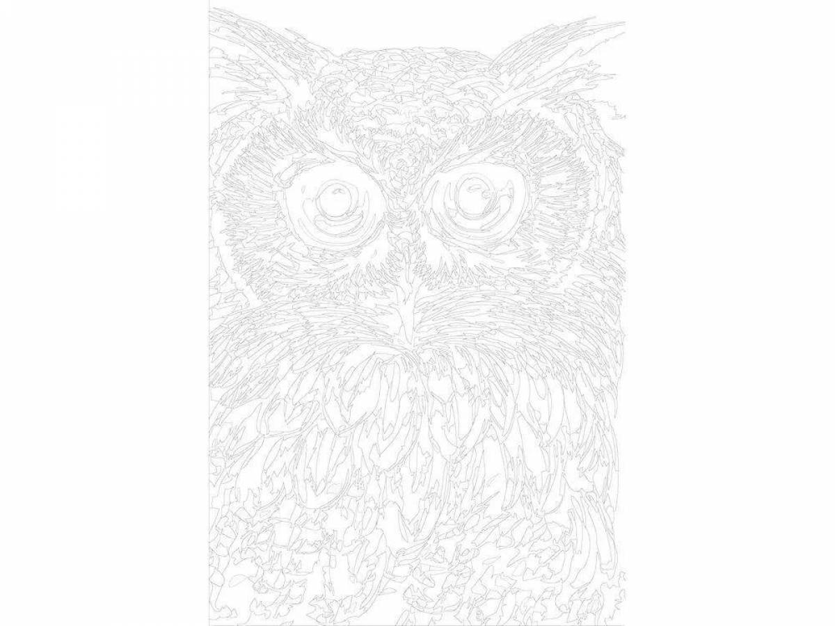 Owl by numbers #5