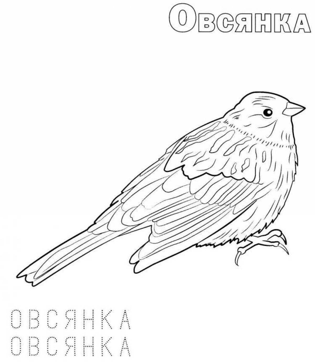 Colorful crossbill coloring page for kids