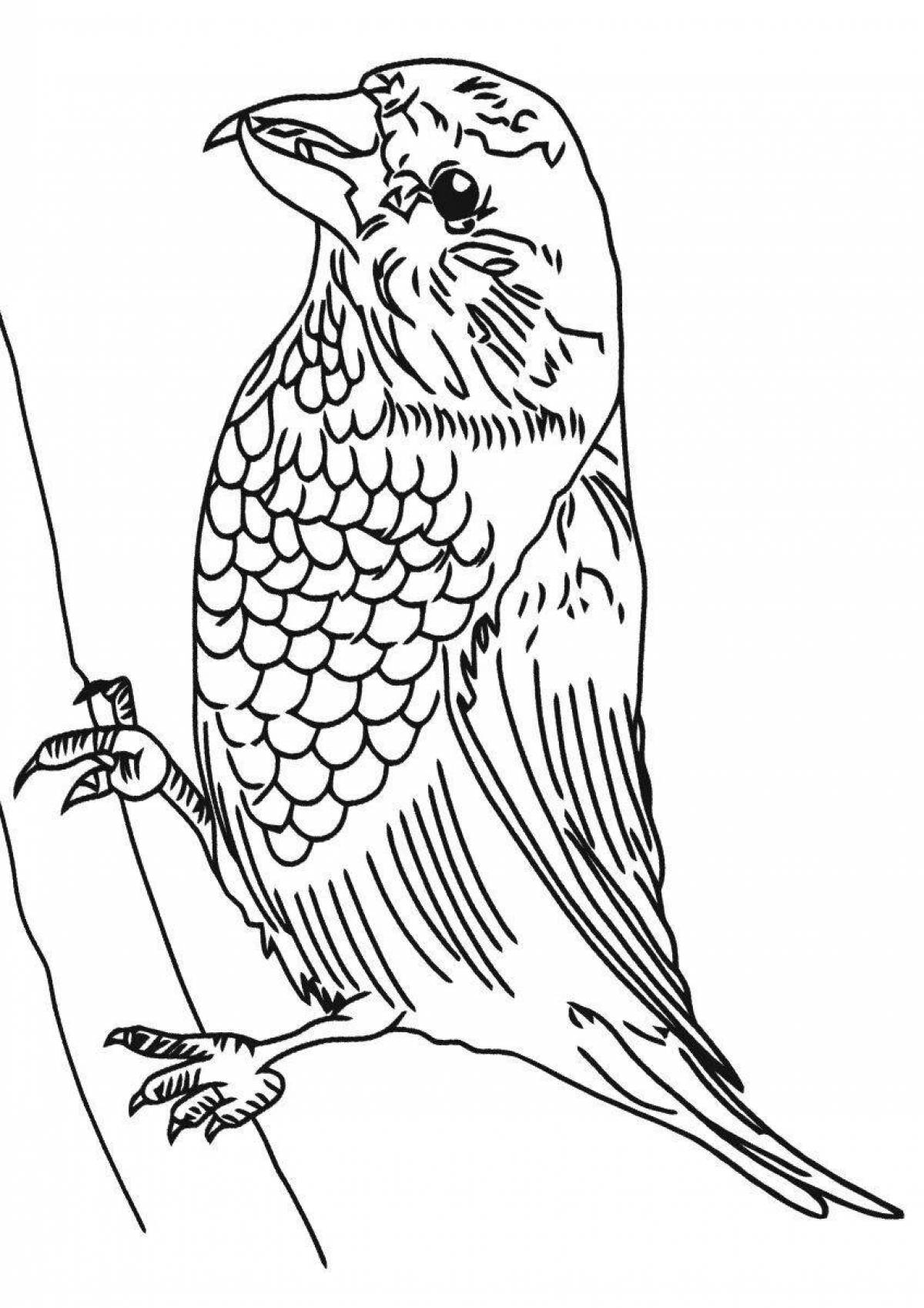 Fun crossbill coloring for kids