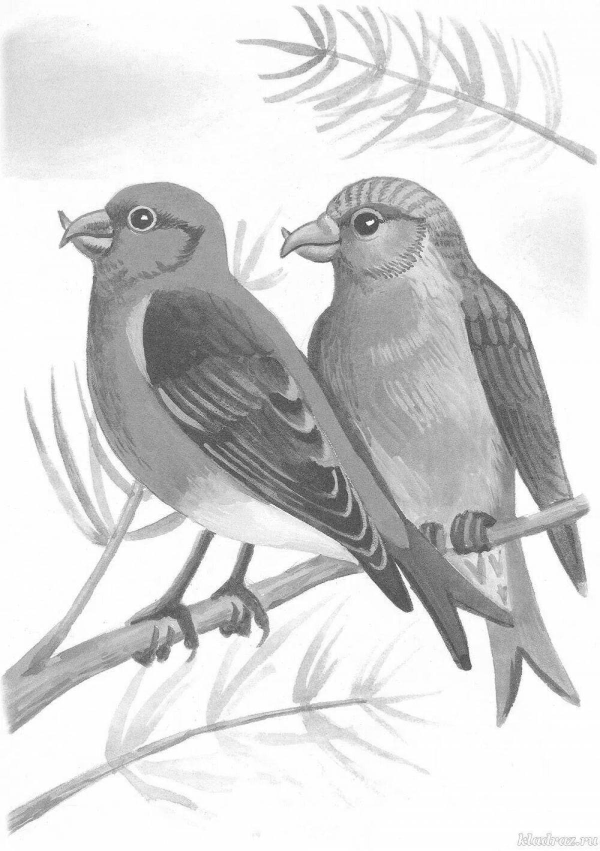 Adorable crossbill coloring book for kids