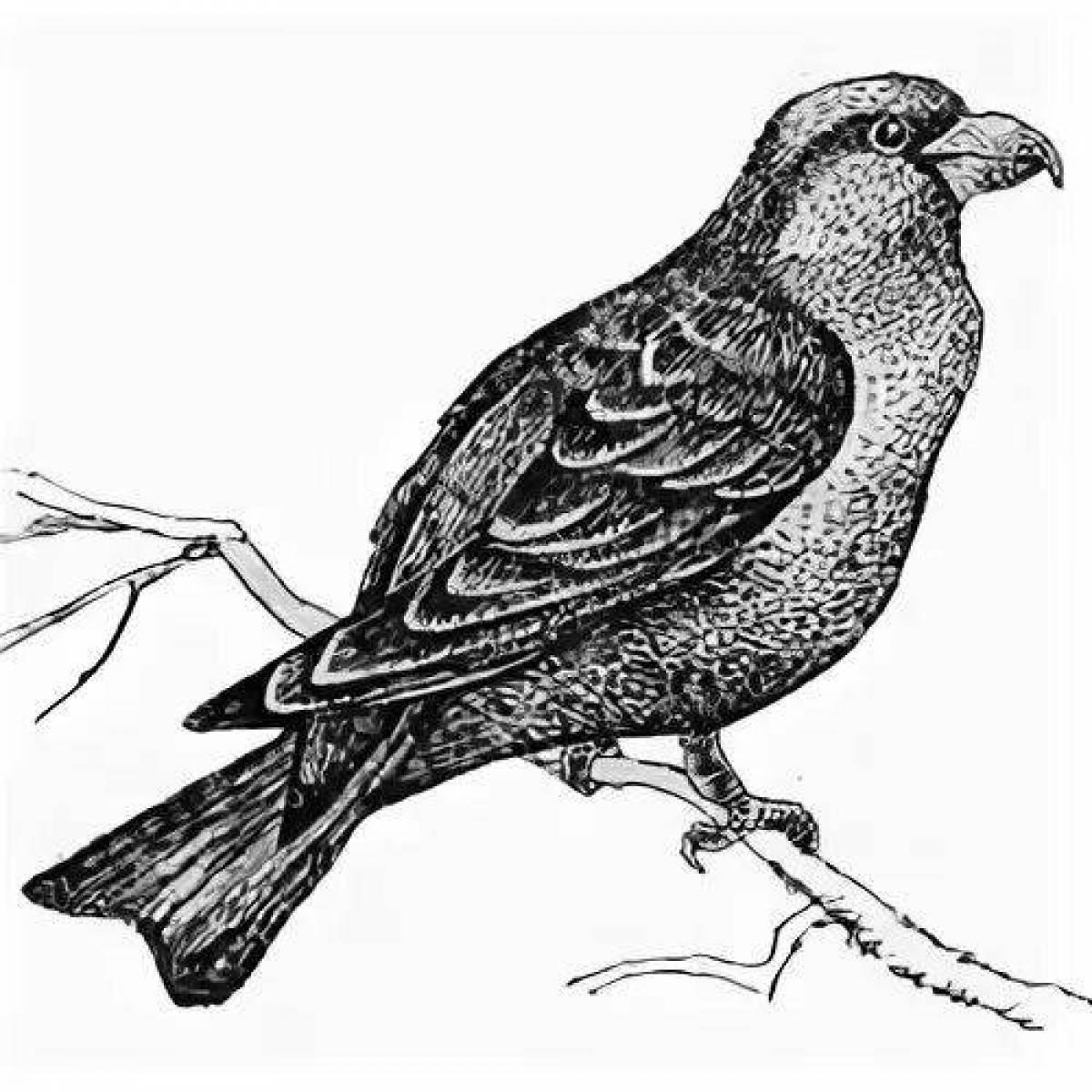 Exciting crossbill coloring book for kids