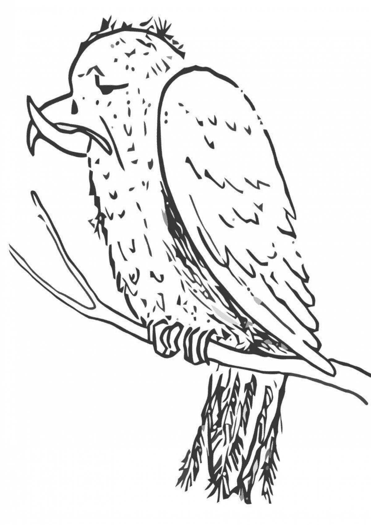 Incredible crossbill coloring book for kids