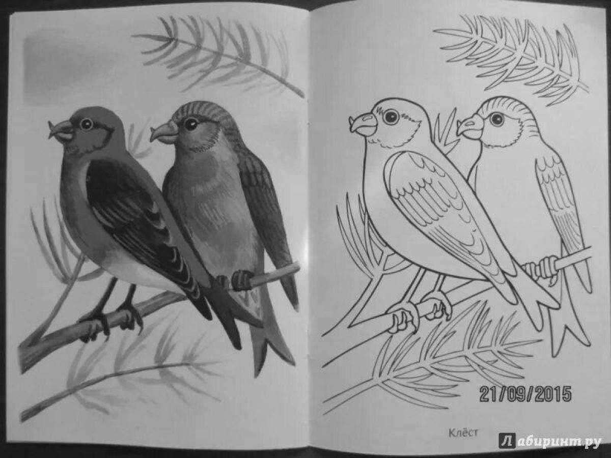 Unbeatable crossbill coloring book for kids