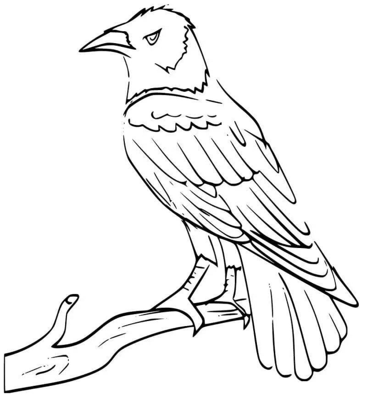 Coloring book happy crow for kids