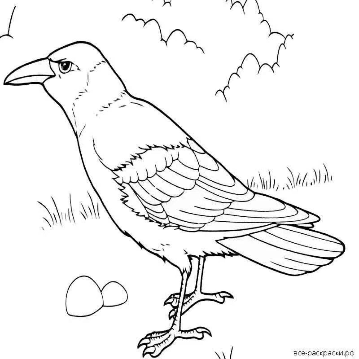 Living crow coloring book for kids