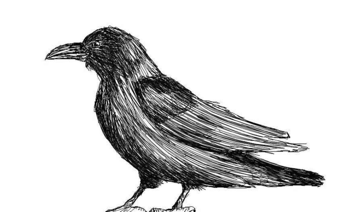 Innovative crow coloring page for kids