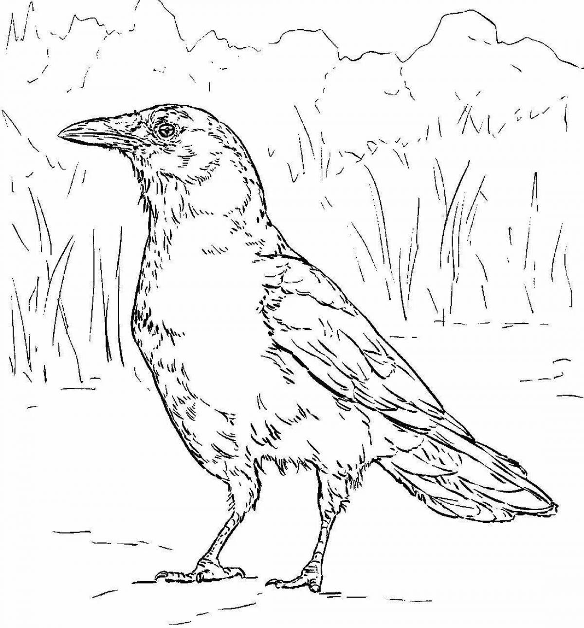 Crow inspirational coloring book for kids