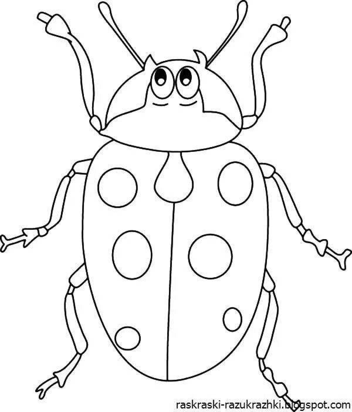 Colourful beetle coloring book for kids