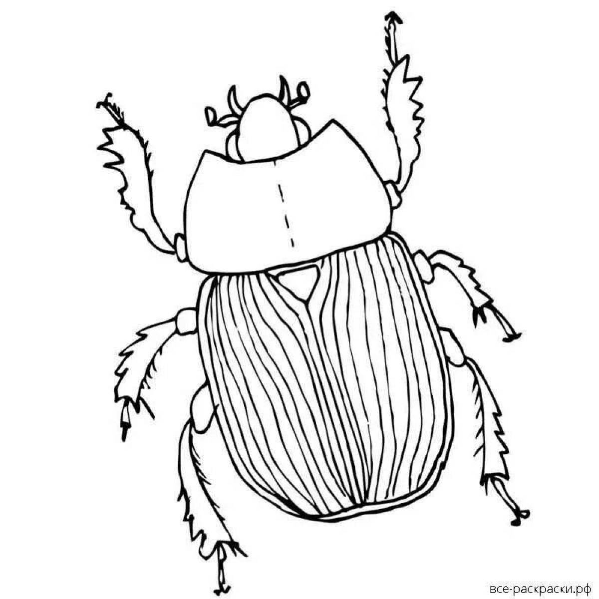 Adorable beetle coloring book for kids