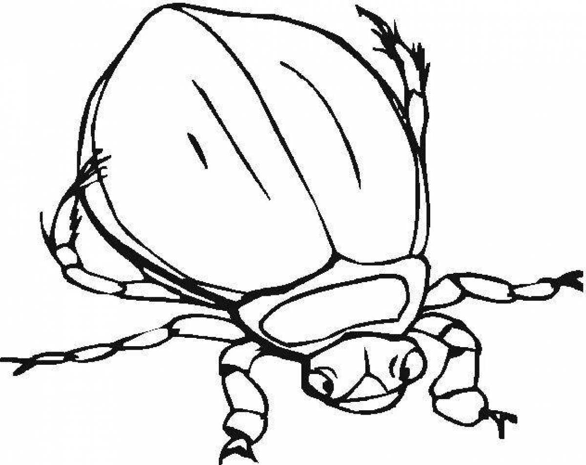 Amazing beetle coloring pages for kids