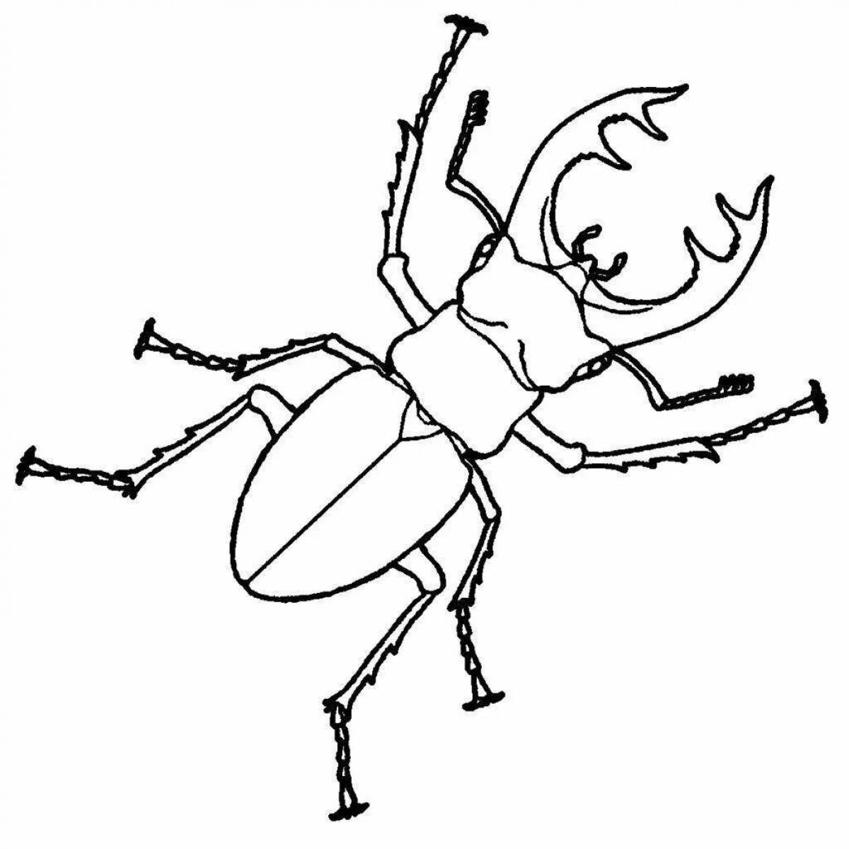 Coloring dazzling beetle for kids