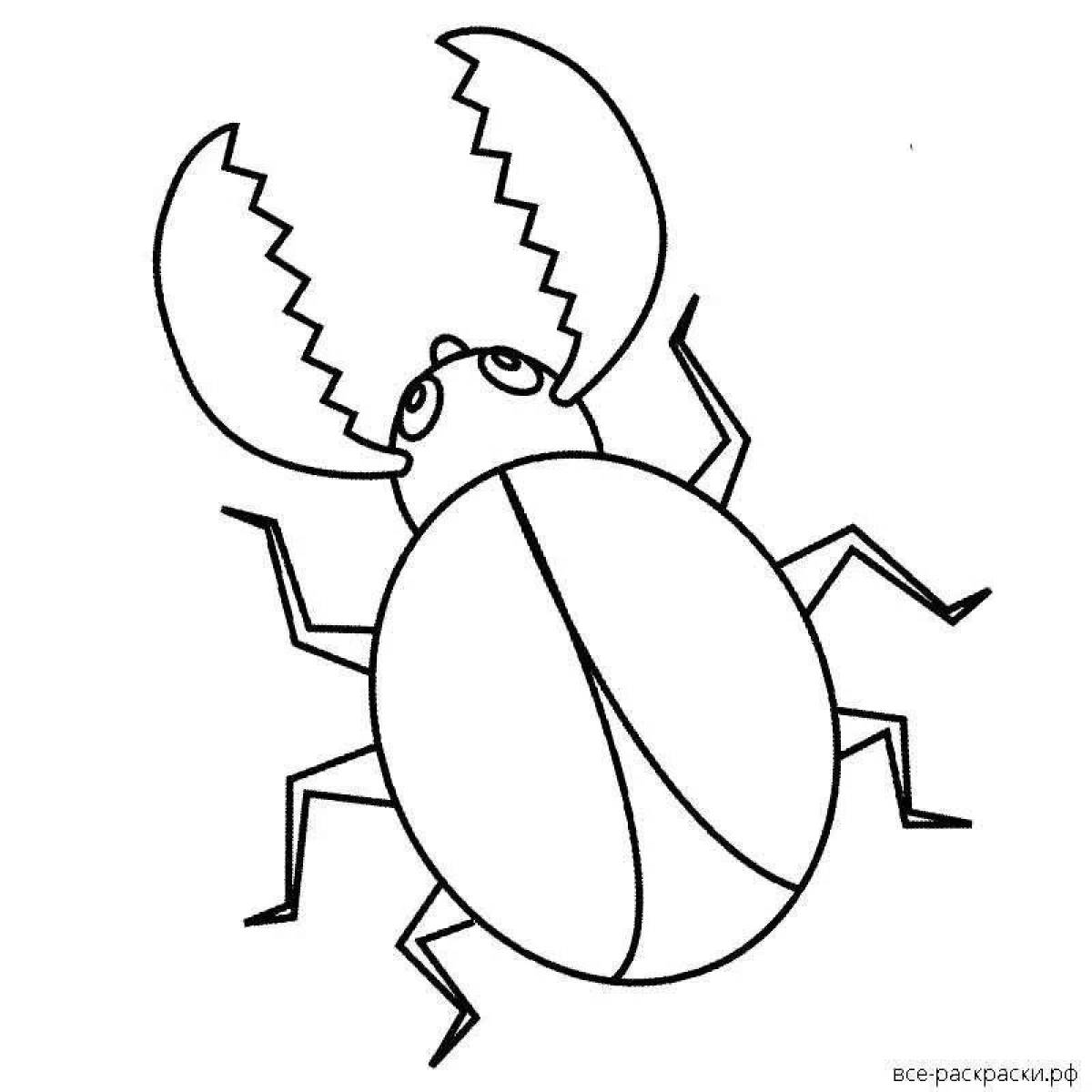 Great beetle coloring book for kids