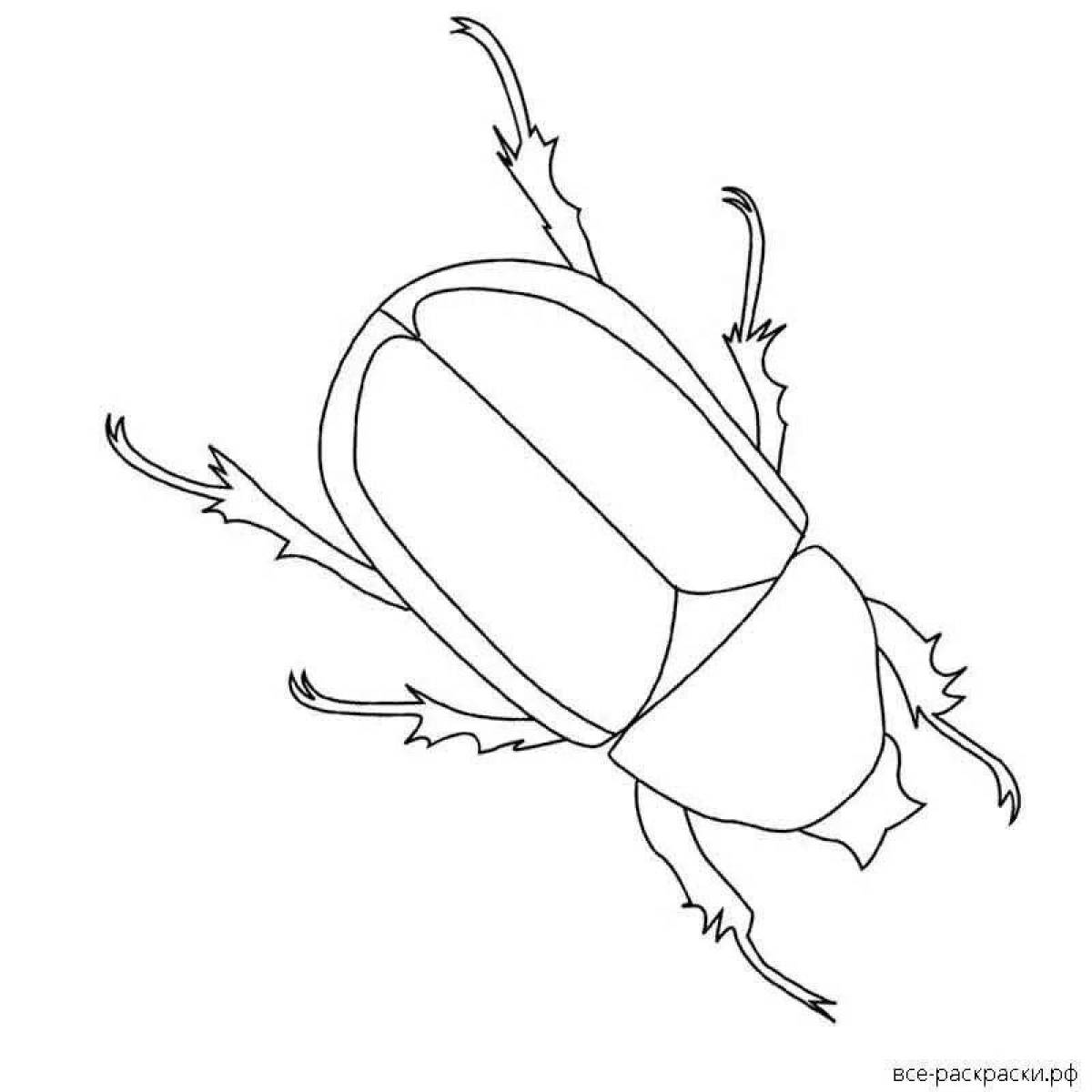 An unforgettable beetle coloring book for kids