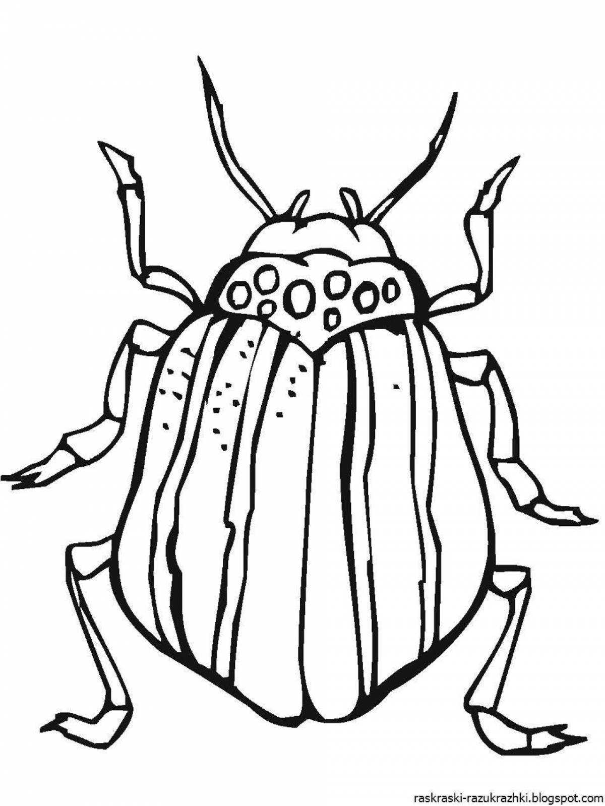 Beetle picture for kids #1