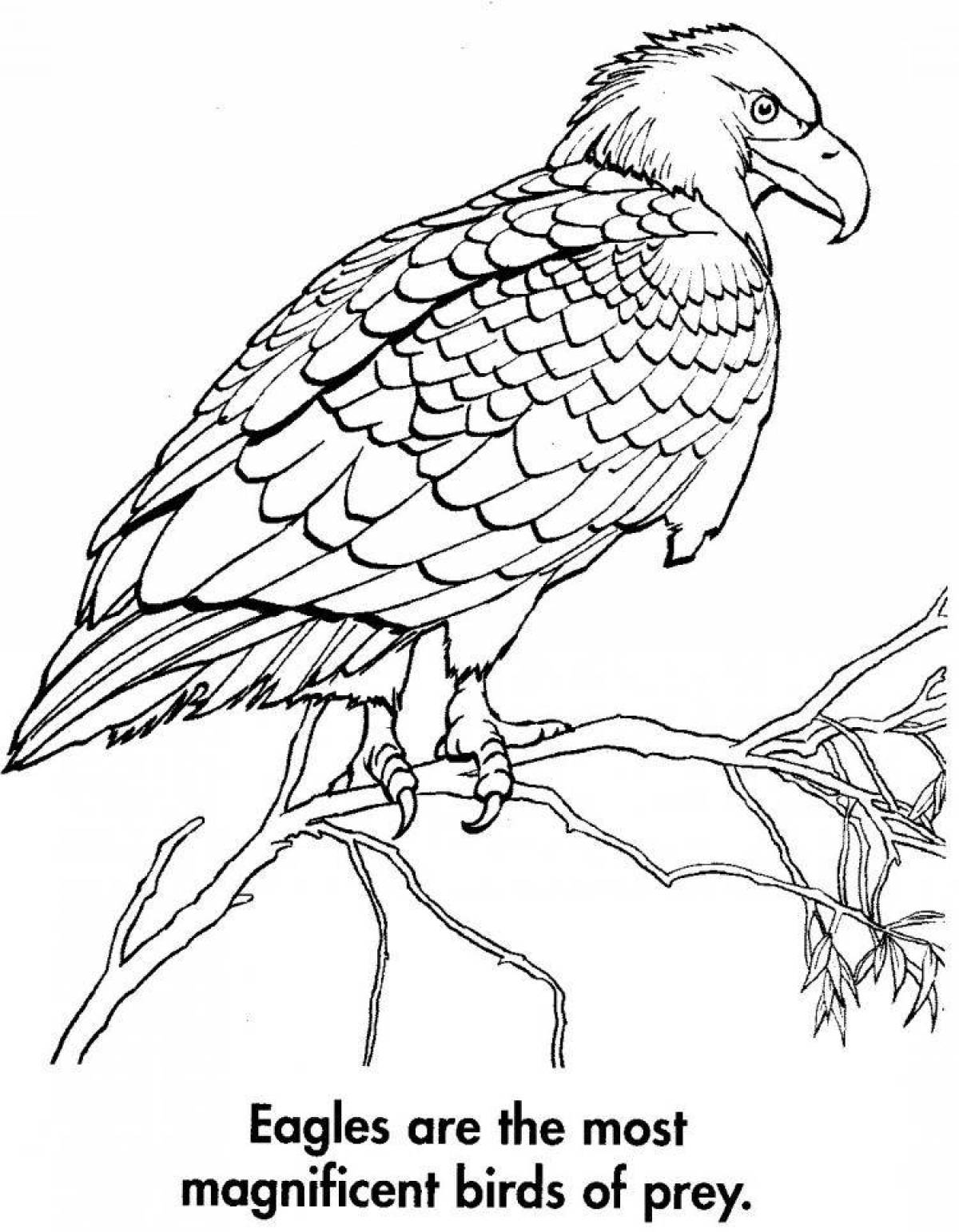 Exquisite bustard coloring page