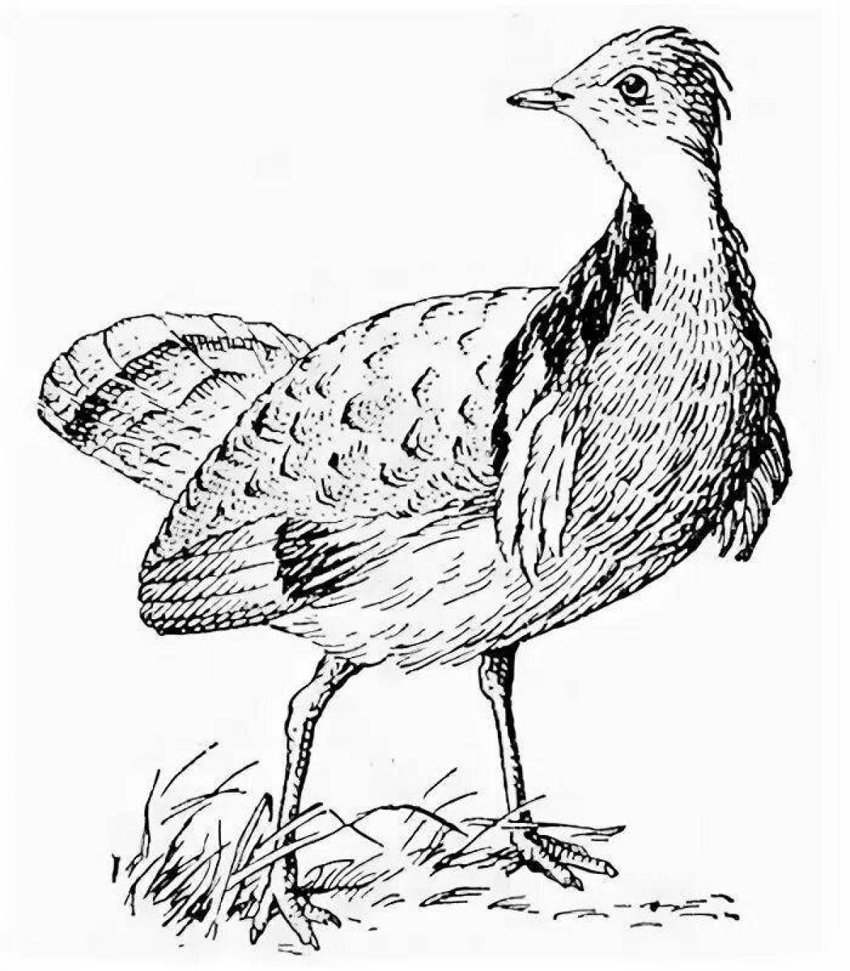 Awesome bustard coloring page