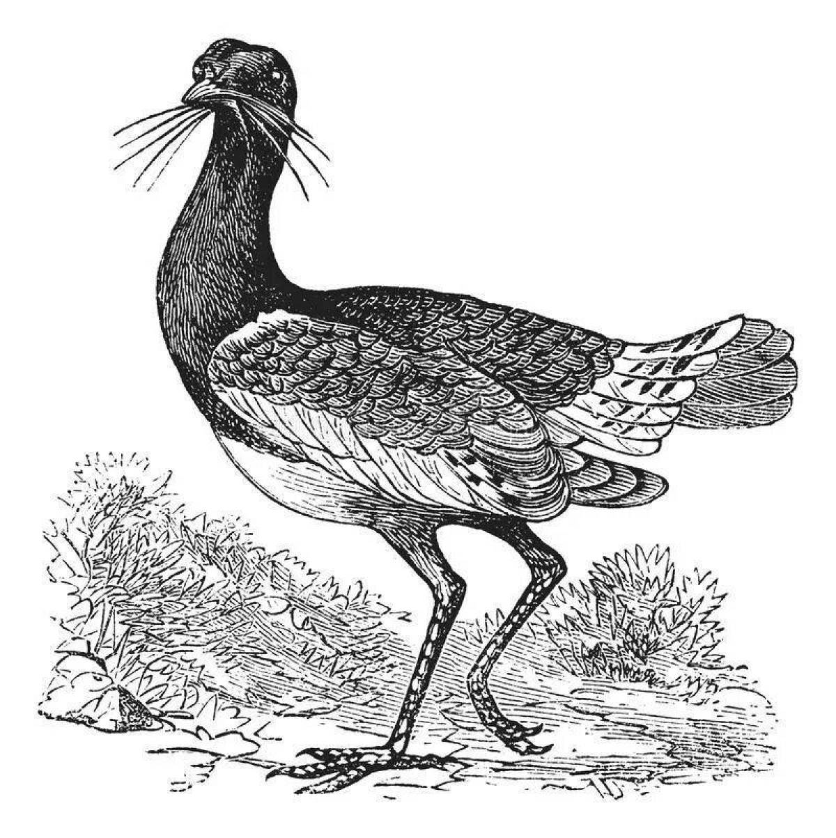 Adorable bustard coloring page