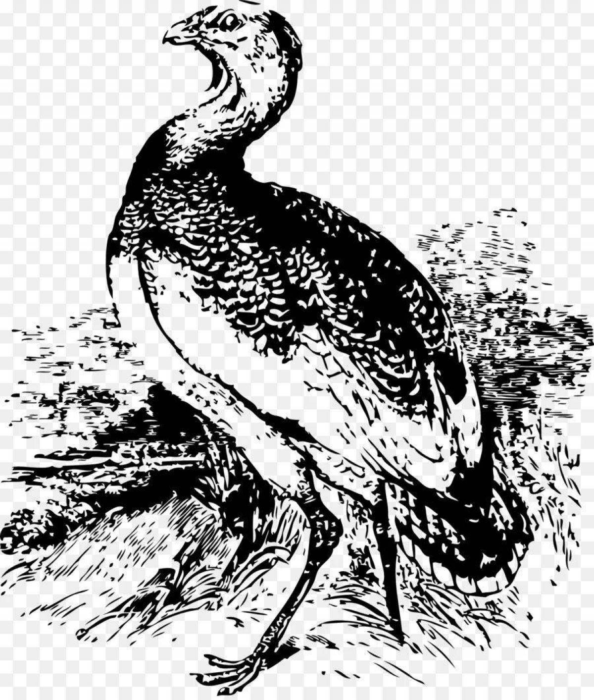 Bustard coloring page