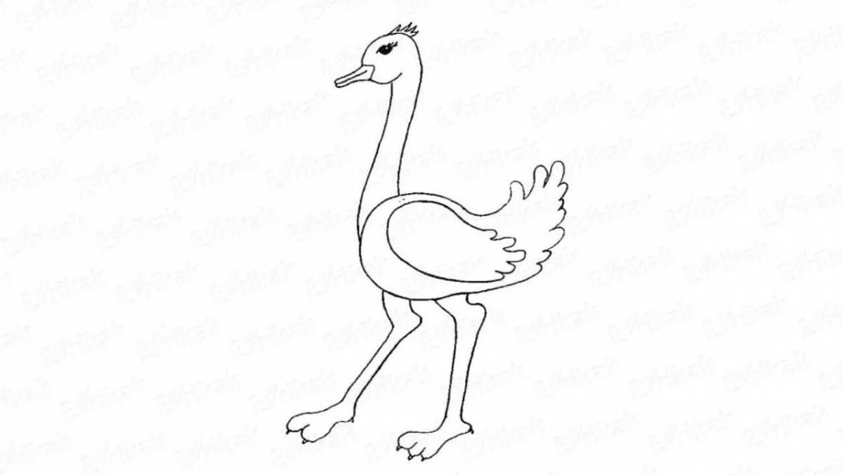 Busy bustard coloring page