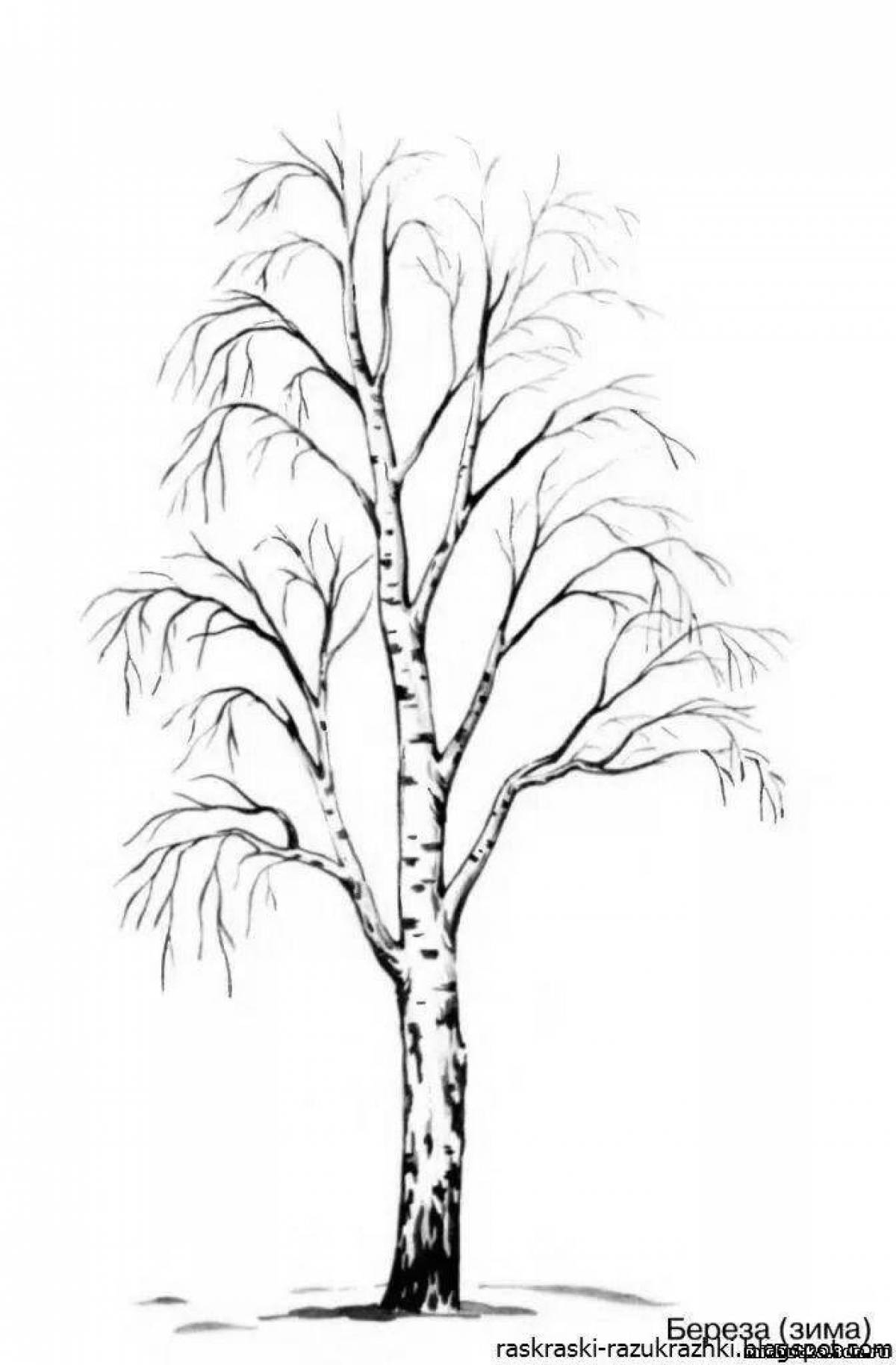 Coloring page majestic birch in winter