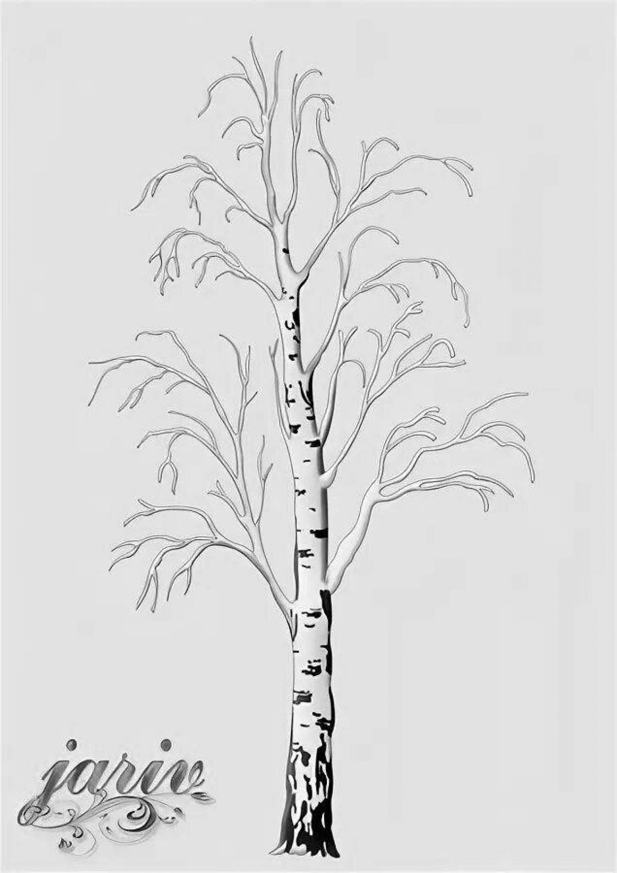 Coloring book luxury birch in winter