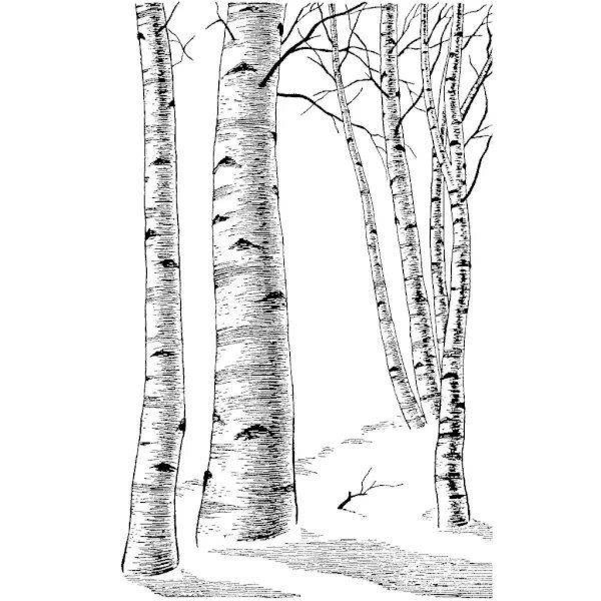 Cute birch in winter coloring book