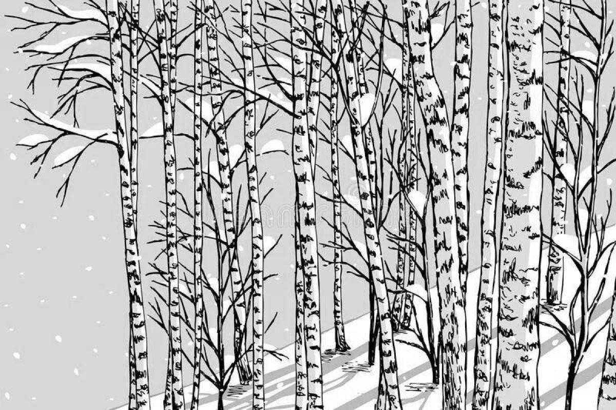 Scenic birch in winter coloring book
