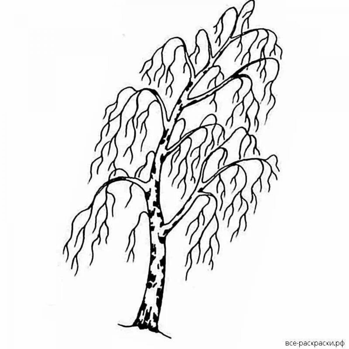 Birch in winter #1