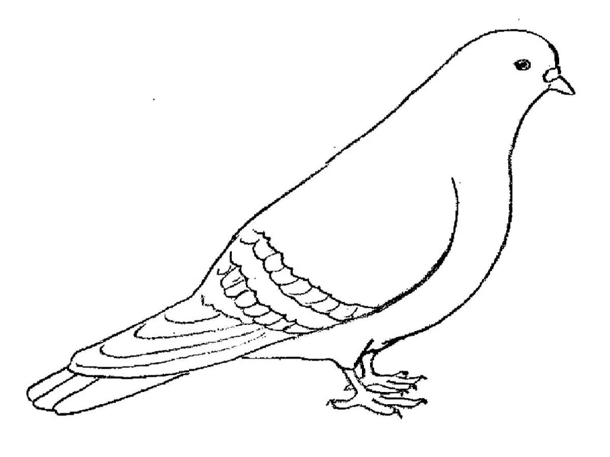 Joyful dove coloring