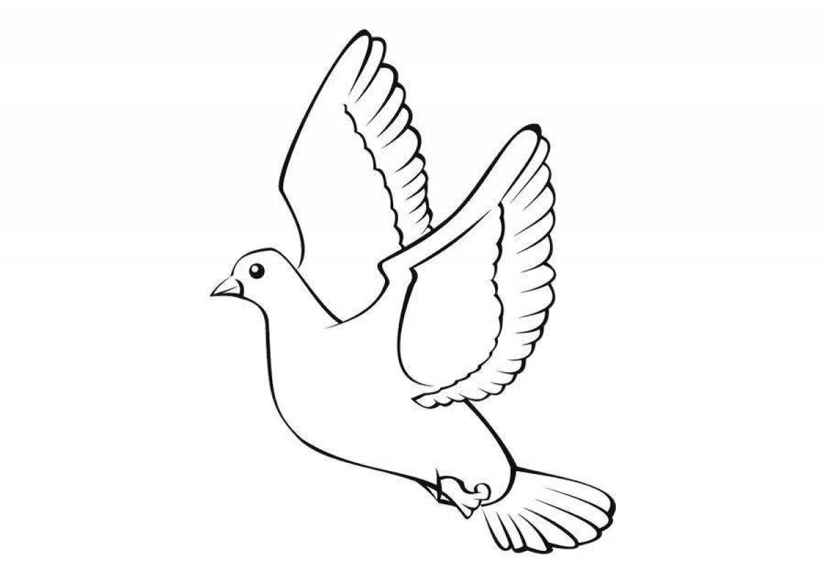 Animated dove coloring book