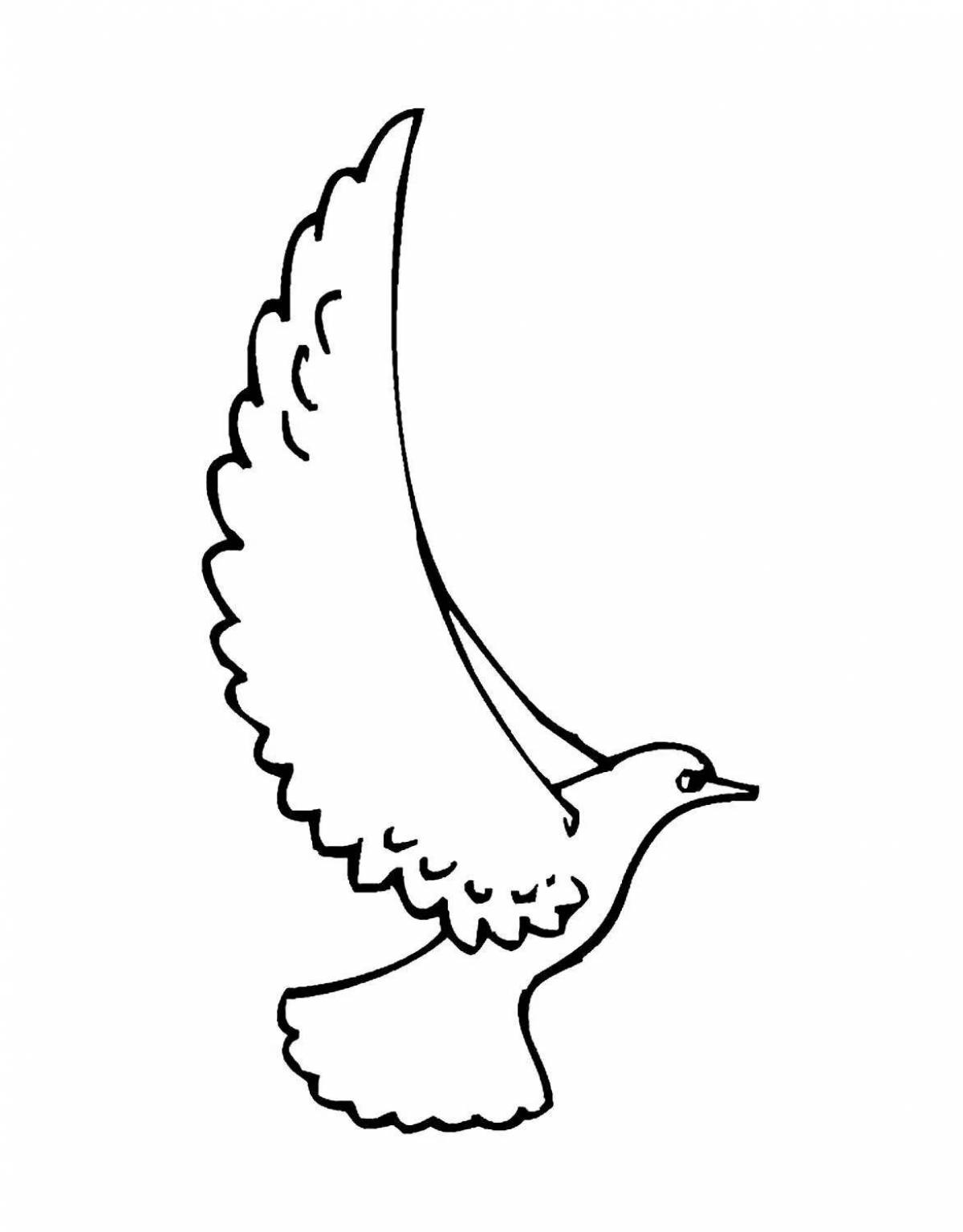 Раскраска radiant coloring page pigeon picture