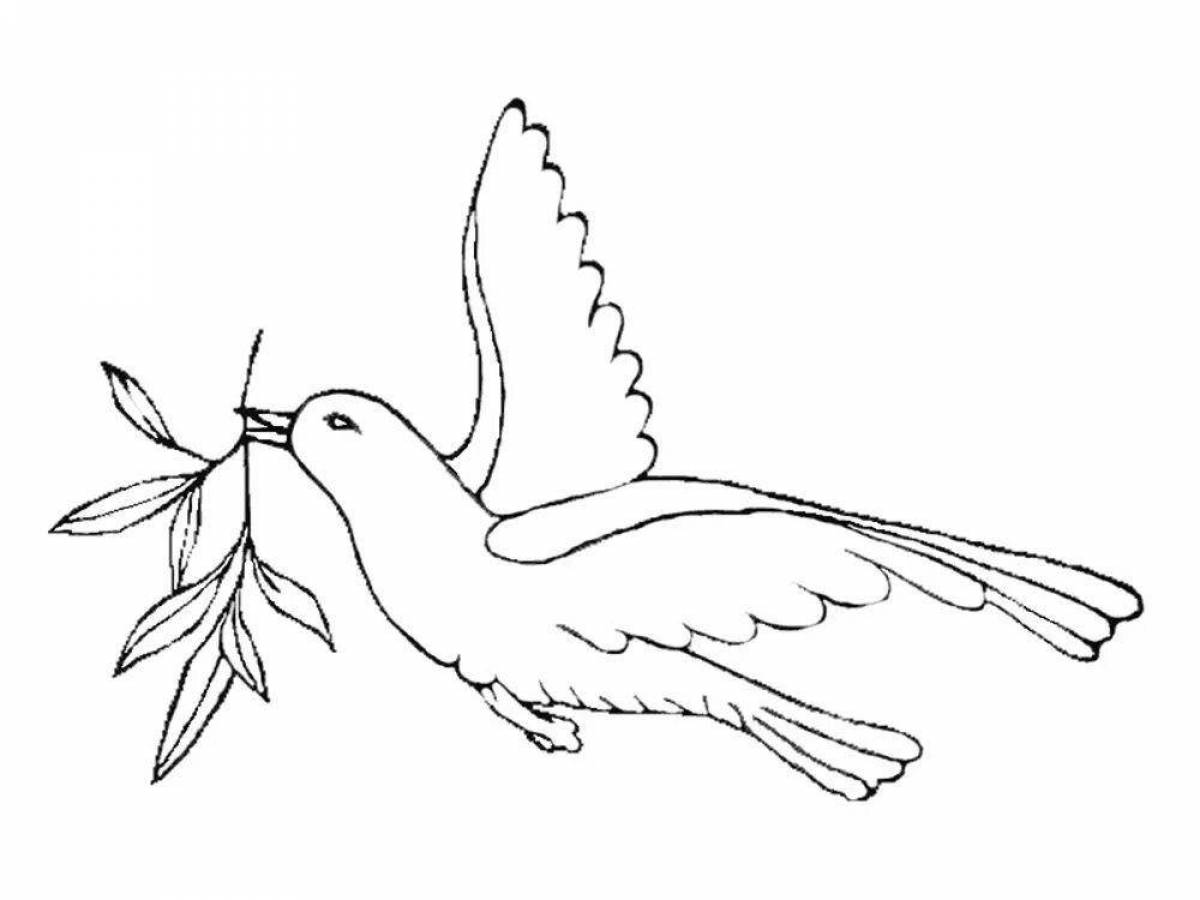 Волшебная раскраска с изображением голубя