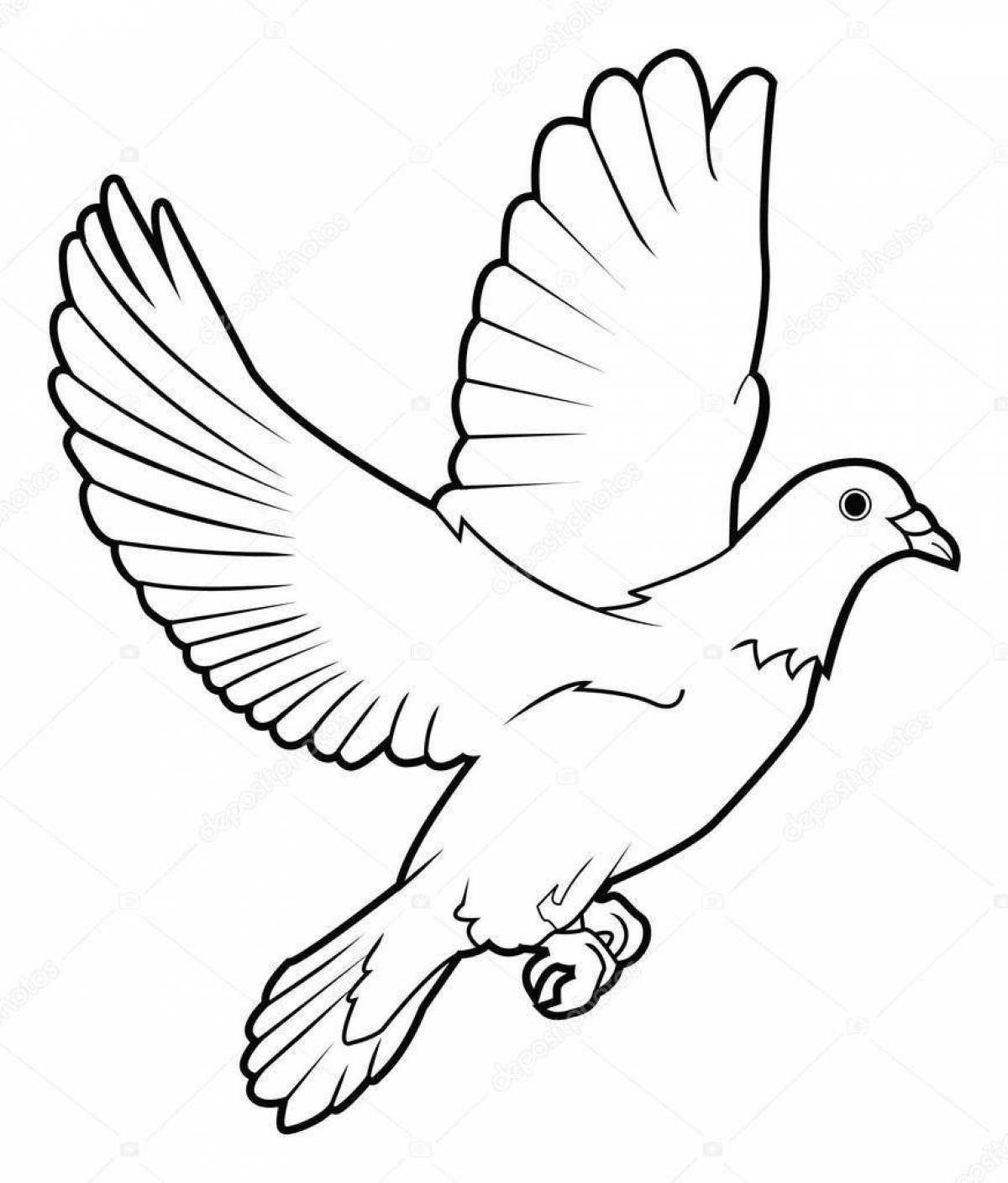 Coloring majestic dove