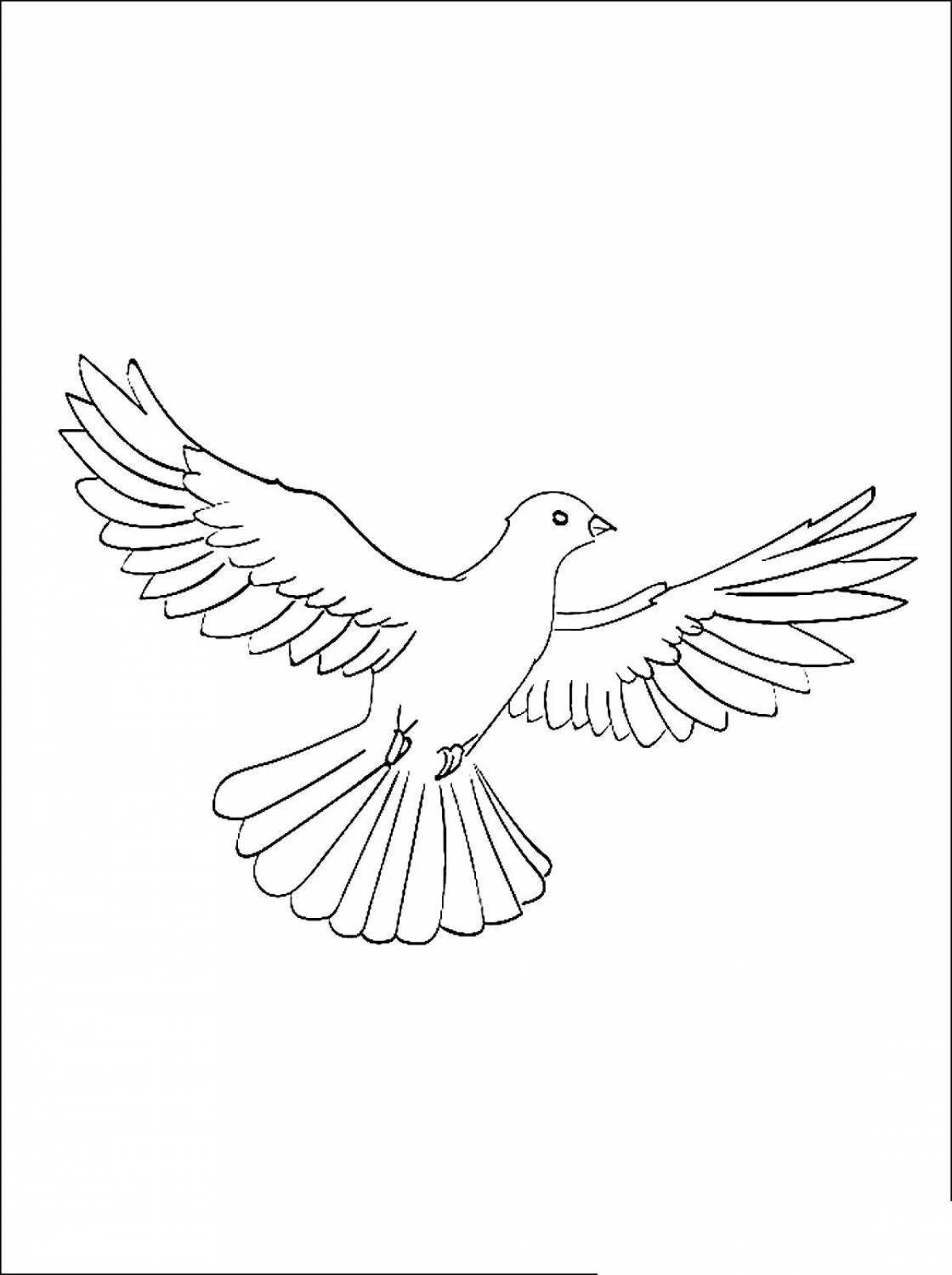 Изысканная раскраска с изображением голубя