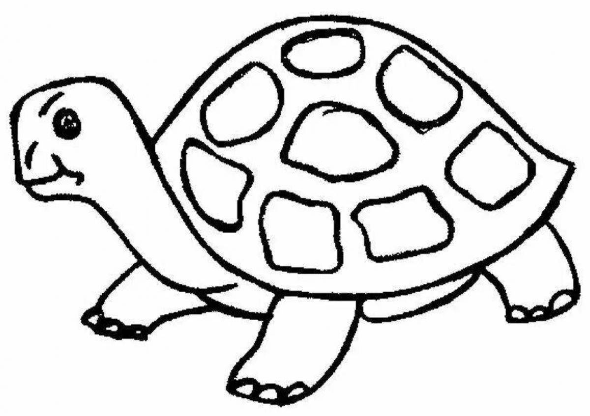 Раскраска великолепная черепаха