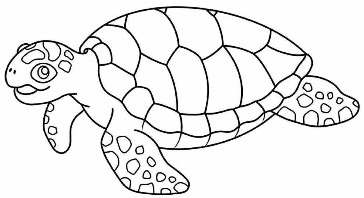 Awesome turtle coloring book