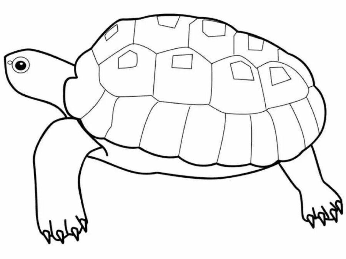 Coloring page energetic turtle