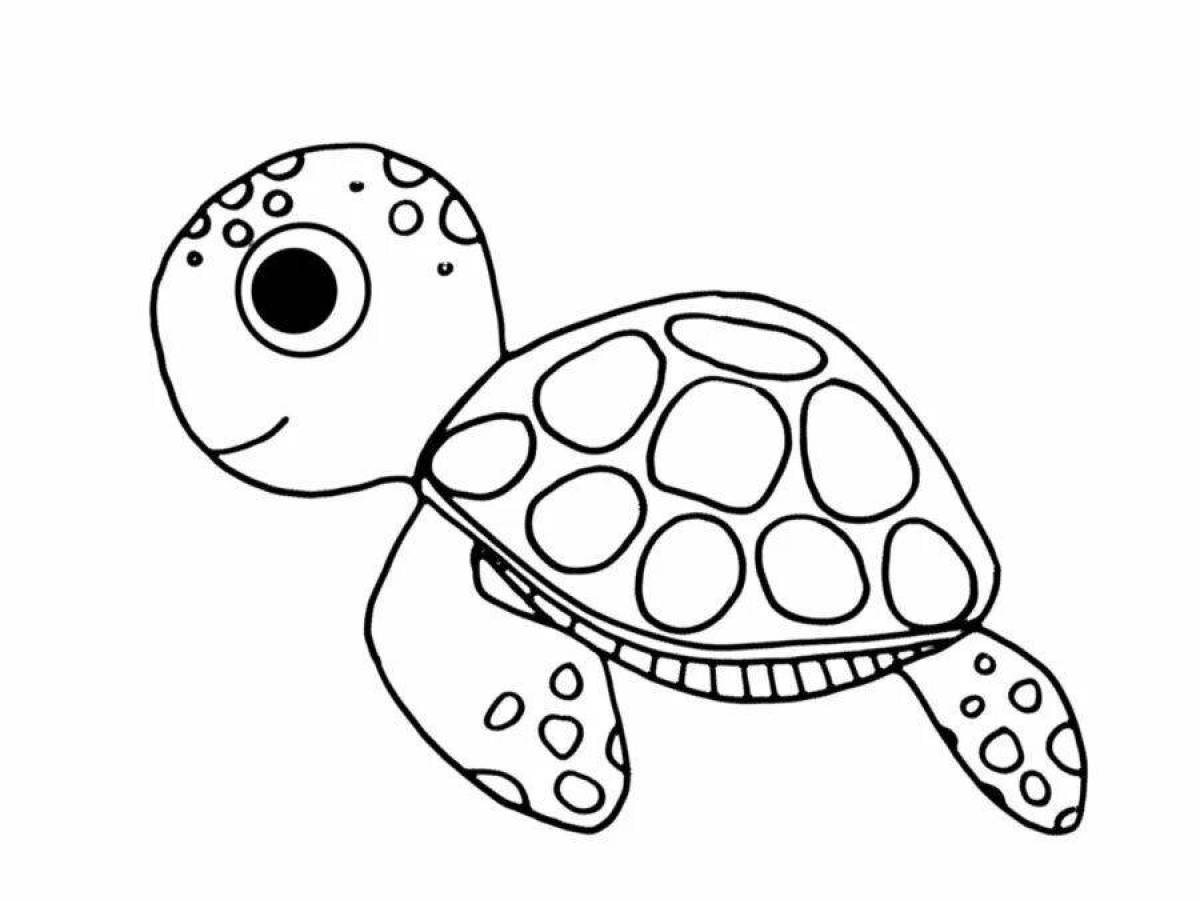 Exotic turtle coloring page