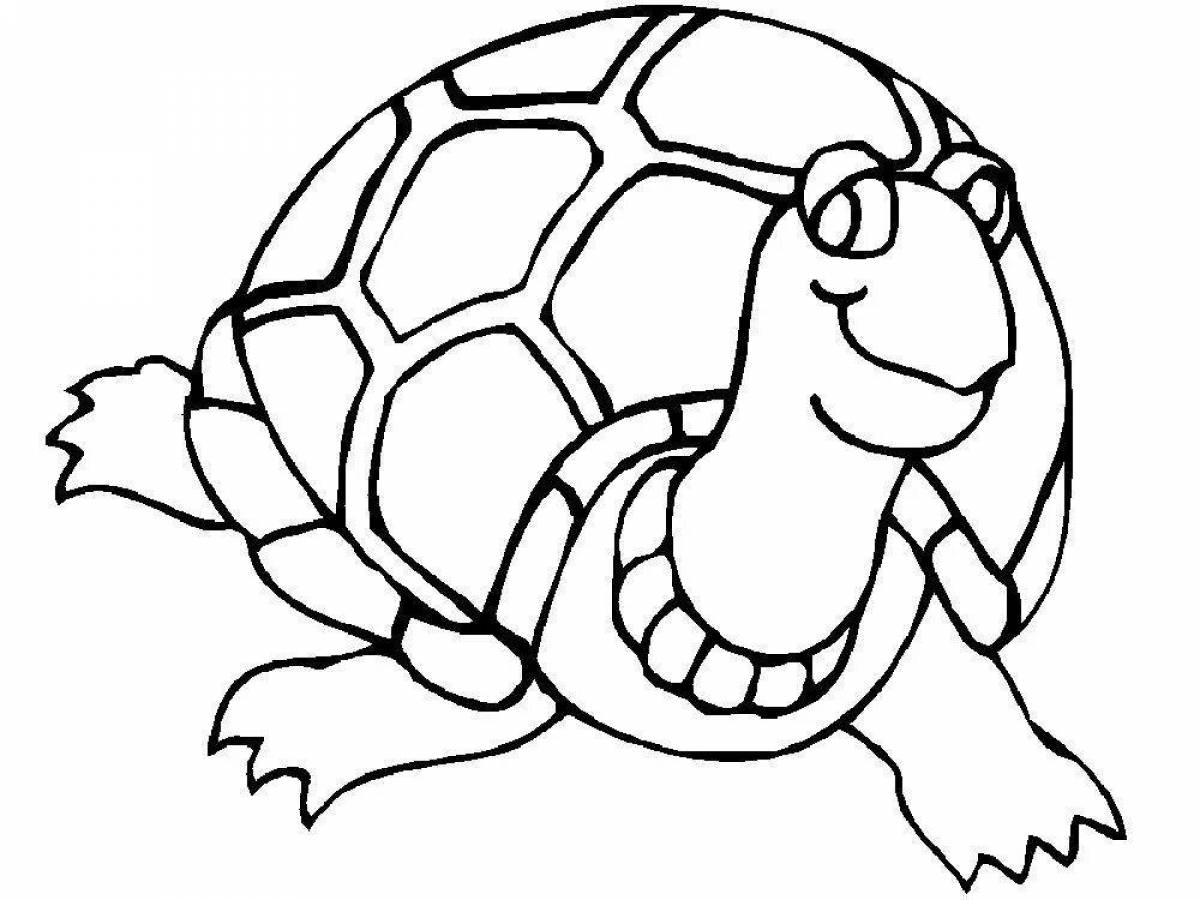 Turtle picture #3