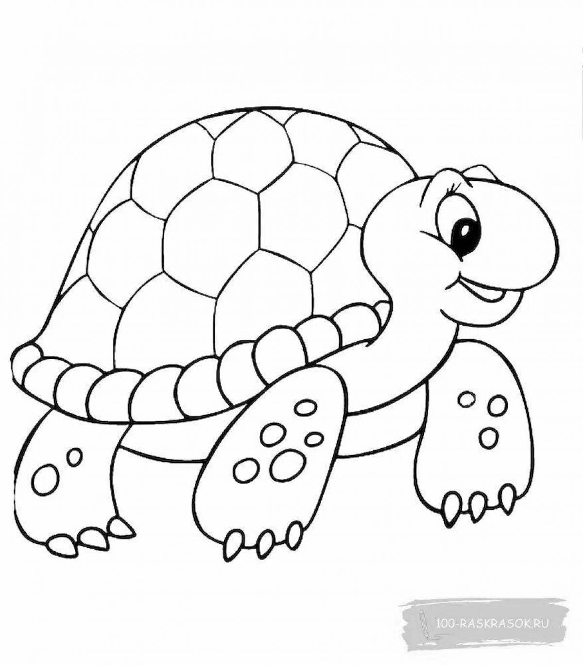 Раскраска черепаха