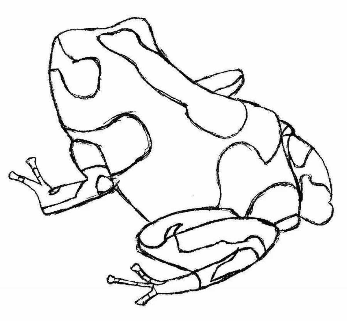 Aesthetic glowing frog coloring page