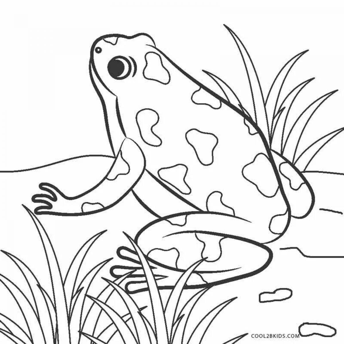 Coloring jovial frog aesthetics