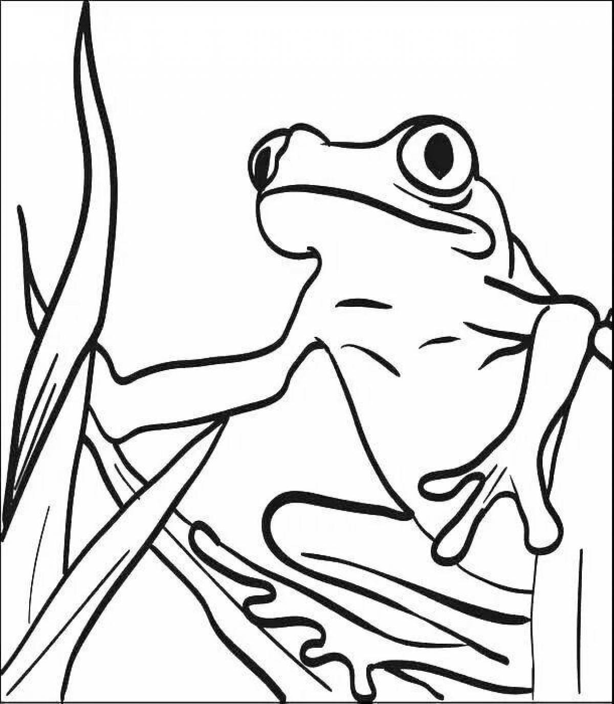 Coloring page aesthetics of a vigorous frog