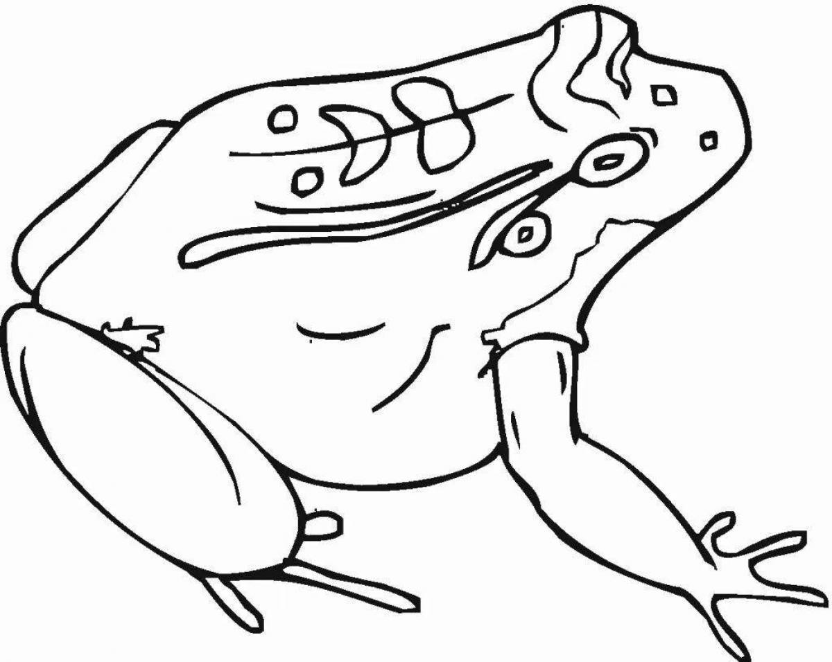 Раскраска эстетика сияющей лягушки