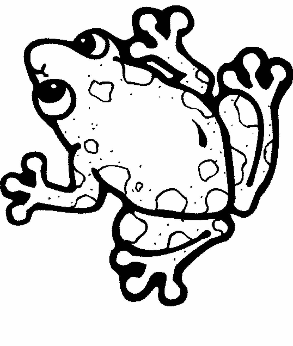 Glittering frog aesthetic coloring page