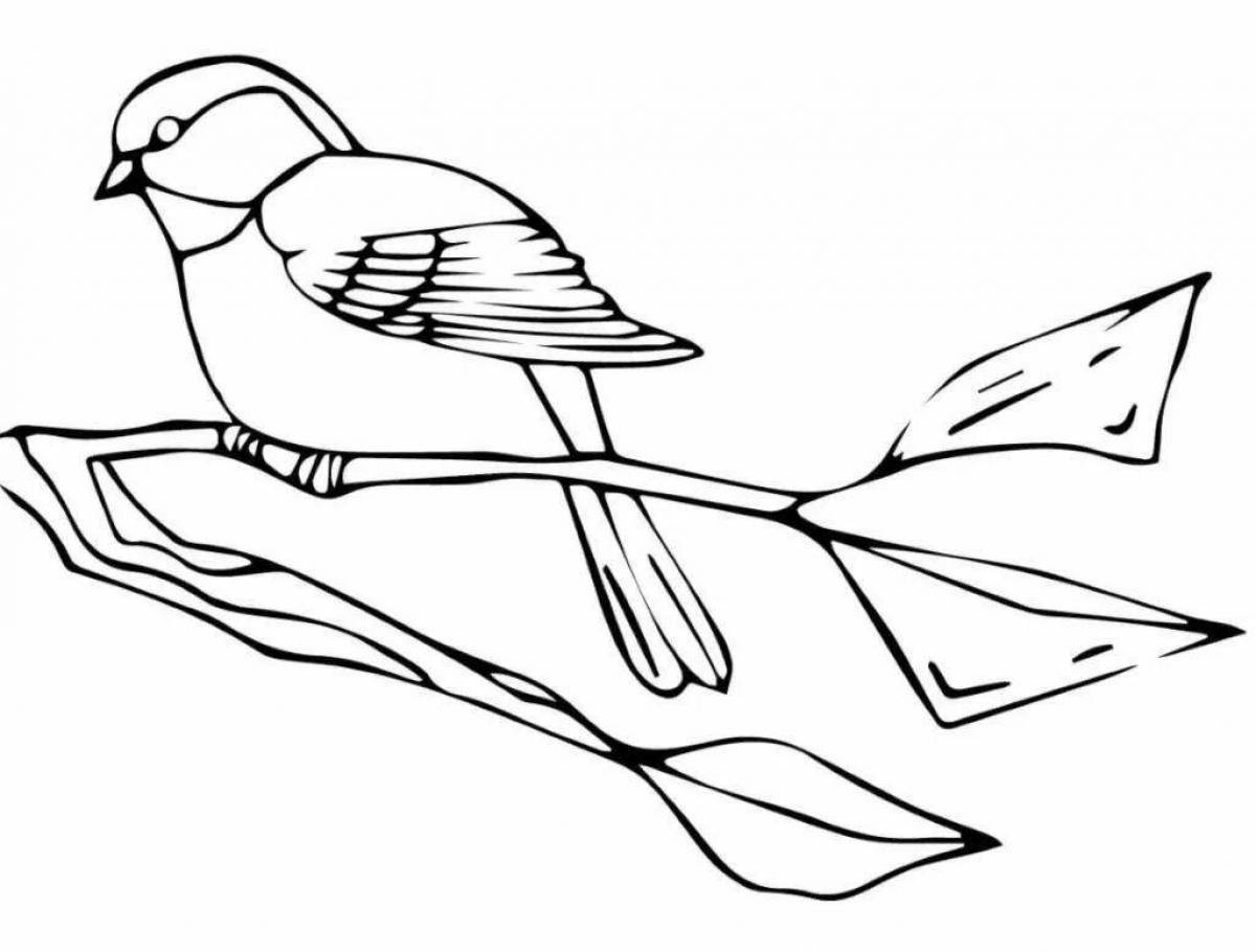 Coloring funny titmouse