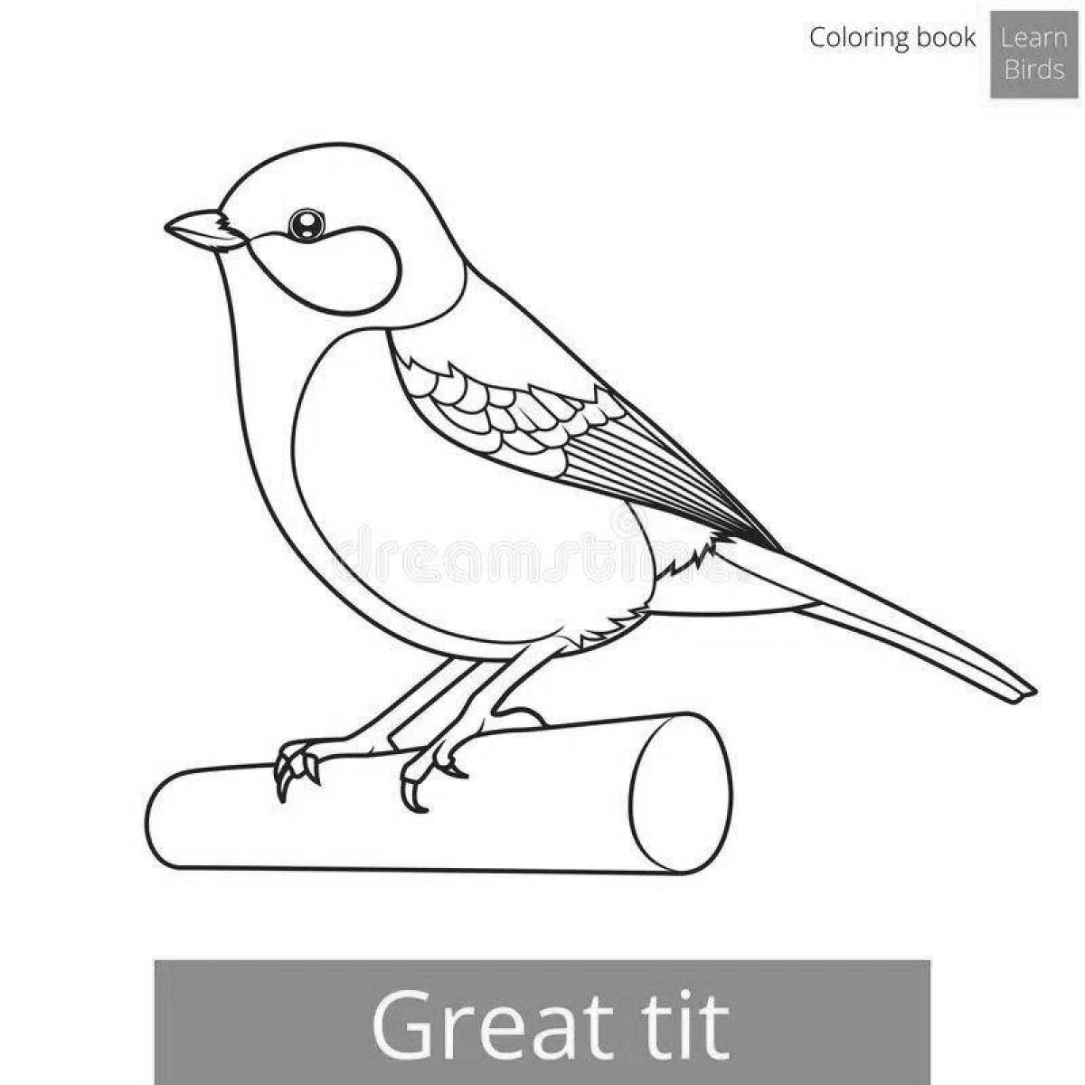 Radiant tit bird coloring page