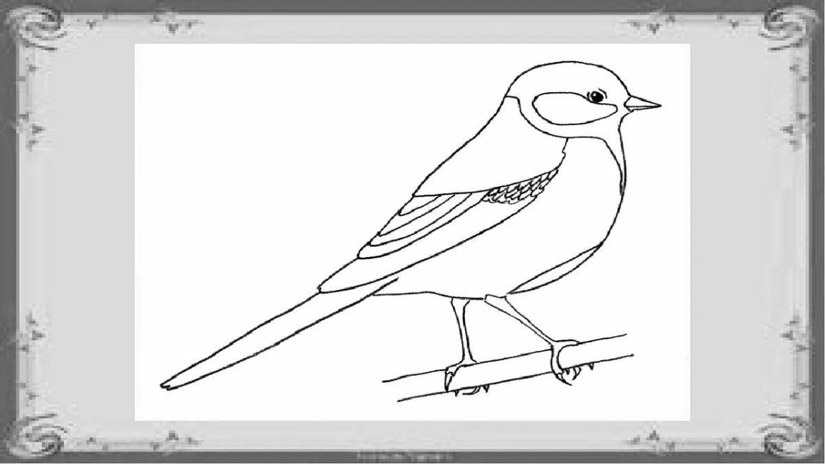 Coloring book wonderful tit